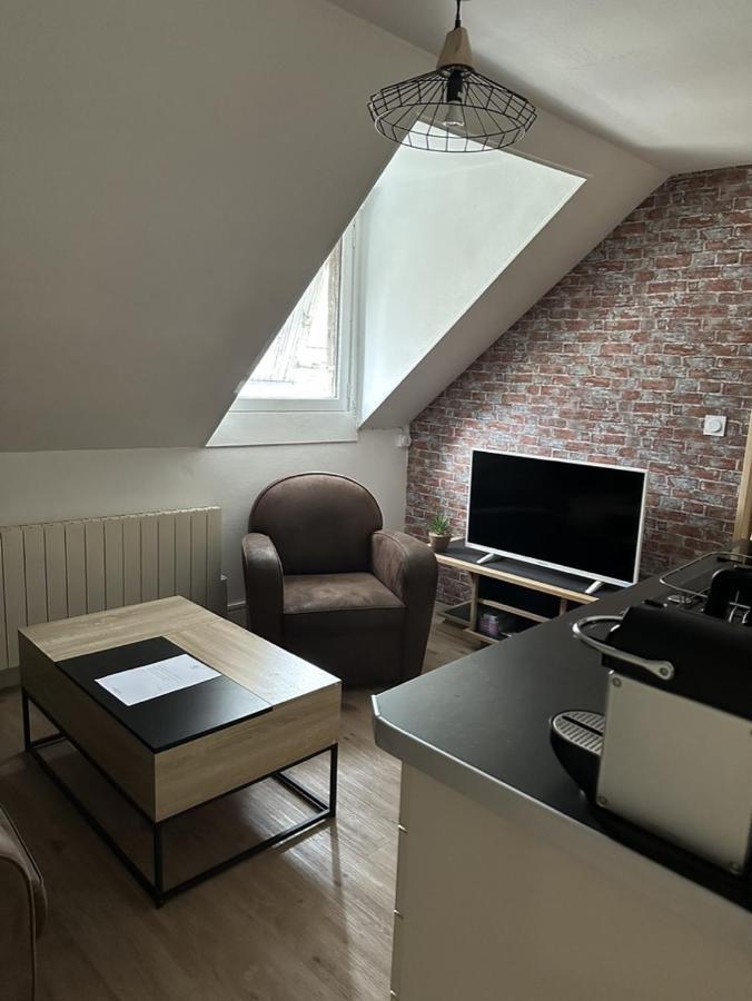 Le Studio Du Square: Beauval Romorantin-Lanthenay Esterno foto
