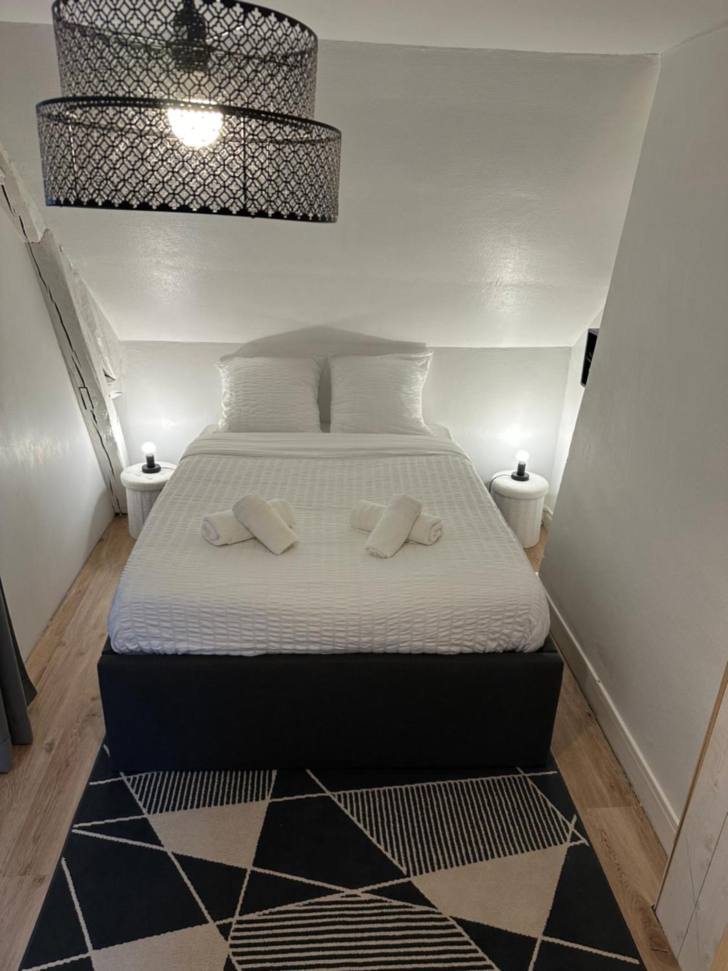 Le Studio Du Square: Beauval Romorantin-Lanthenay Esterno foto